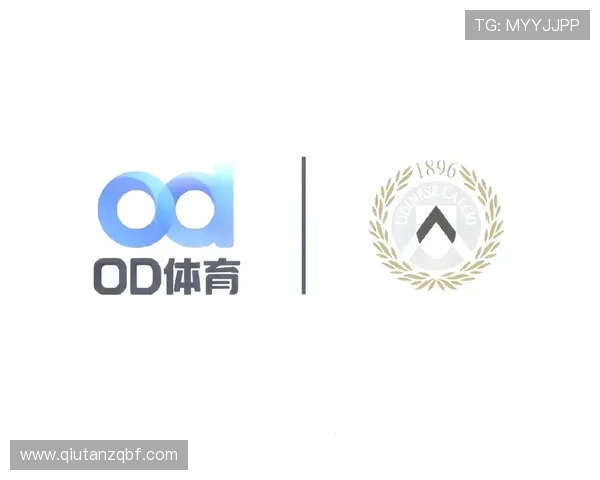 OD体育官网登录官方平台，确保账号安全与游戏体验双重保障